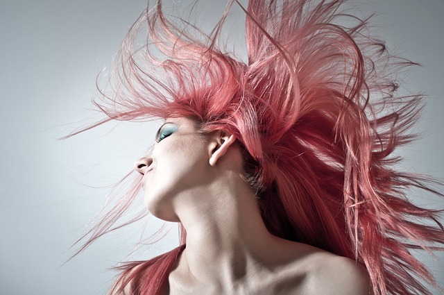 ピンクの髪　肖像画　ロック